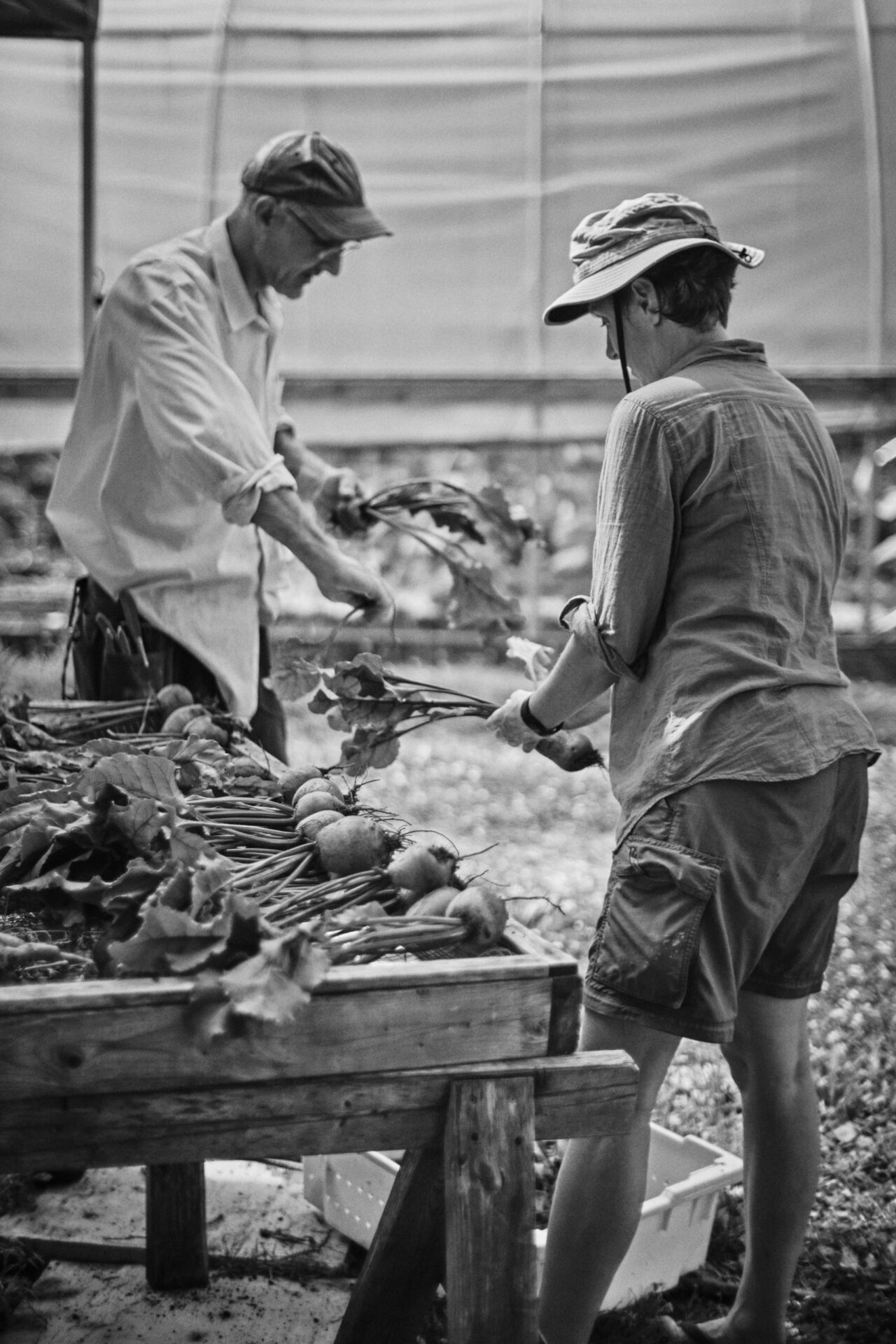 Eric and Annabel farming