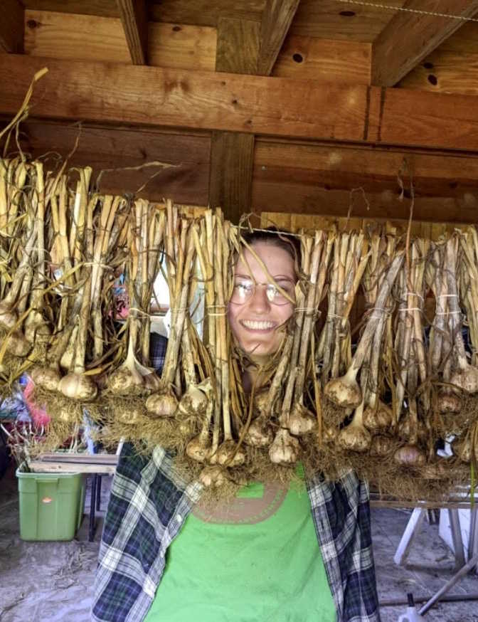 Heather smiling behind drying garlic stalks