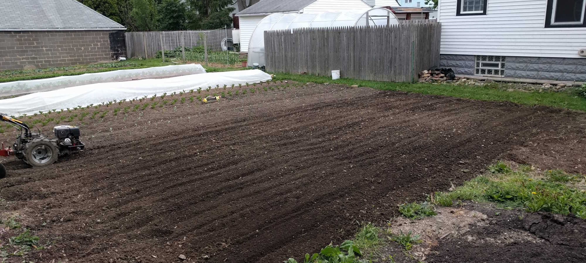 Tilling in compost at our plot in Lakewood
